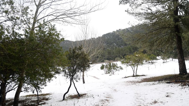 Schnee auf Mallorca