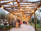 🎄 More Mallorca Xmas Markt – Ein festliches Pop-up auf der Finca Son Mir 🌟
